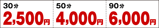 整体施術料金